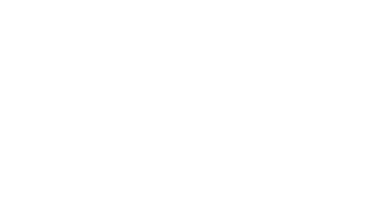 Adam Pulwicki - CEO Pulva